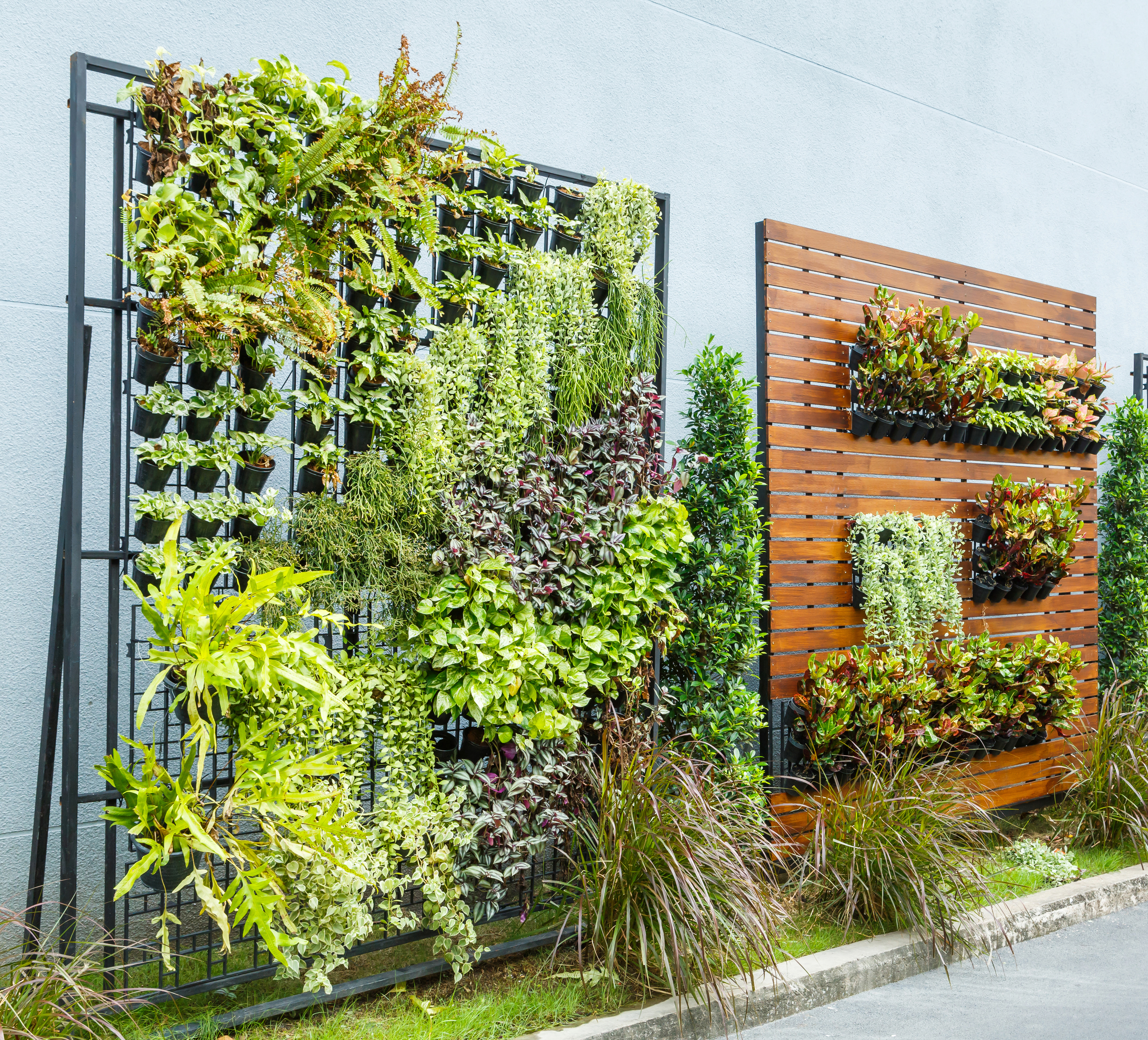 Beautiful vertical garden in city around office building